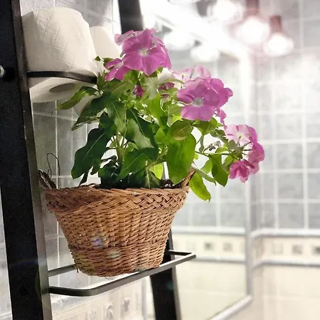 Apartman La Galeria De *