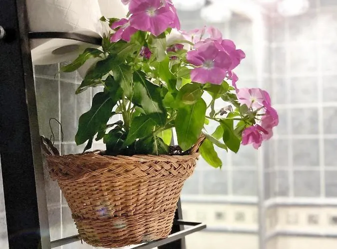 Apartmán La Galeria De *